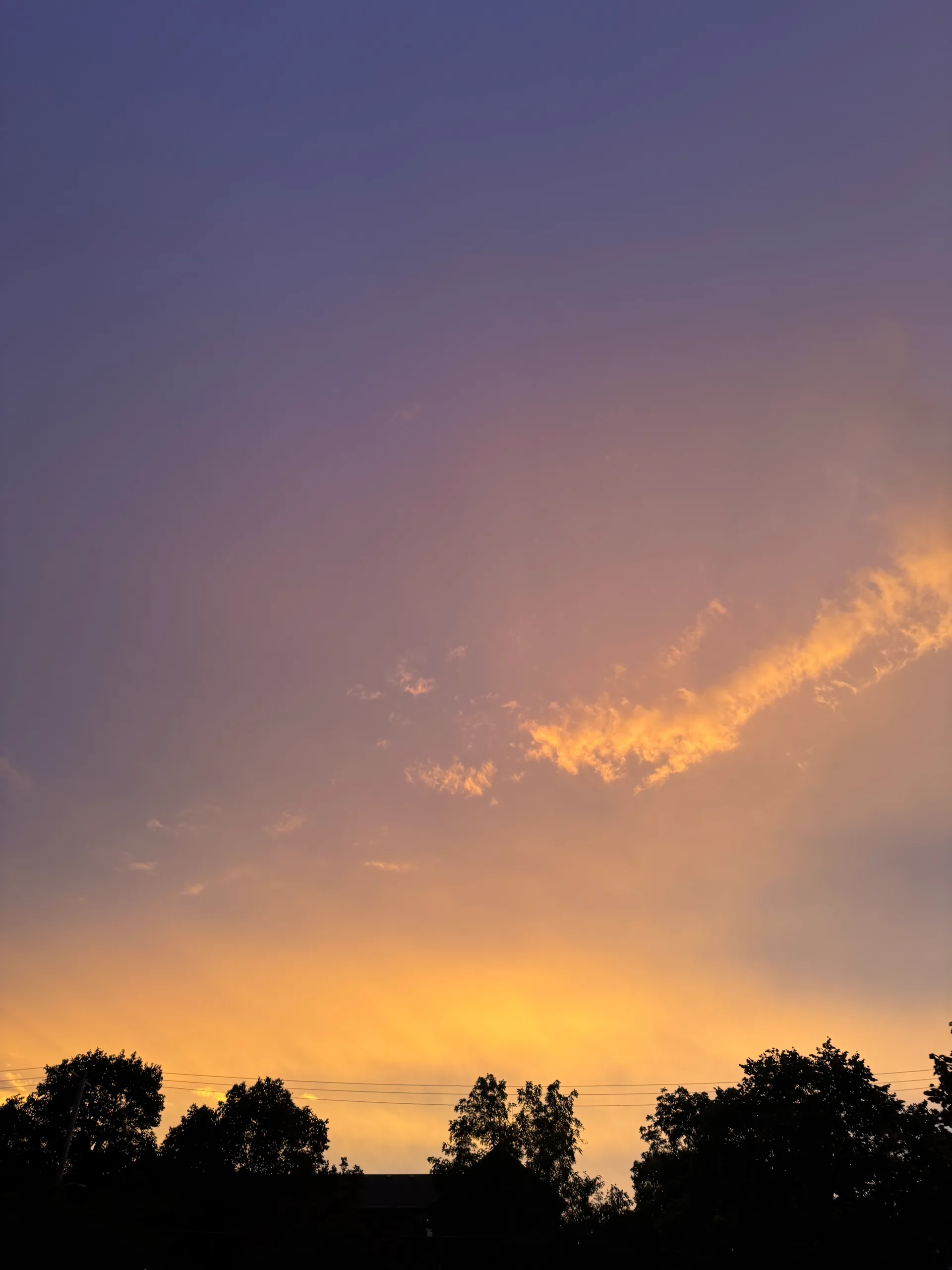 Sunset sky over silhouetted trees