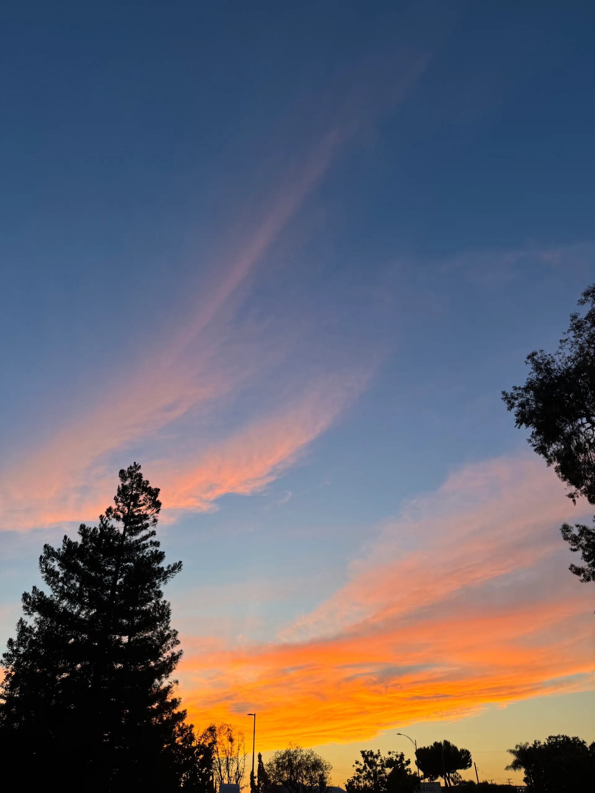 Sunset over open fields